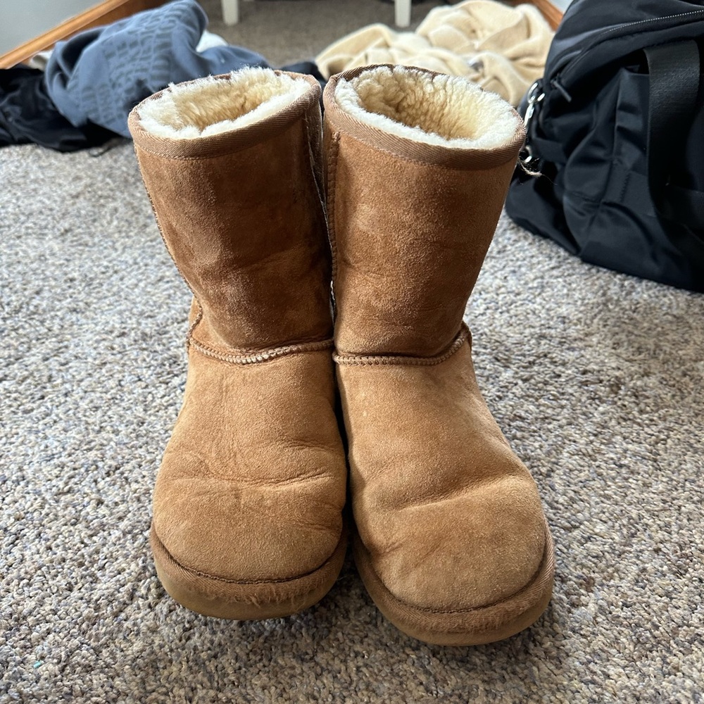 Chestnut Uggs